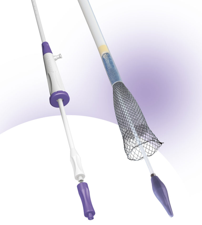 NitinolStents Meditek Systems